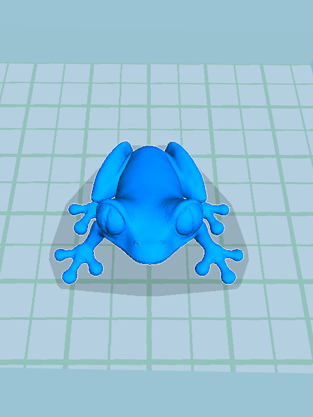 树蛙