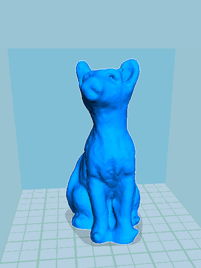 小猫咪